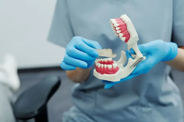 teeth